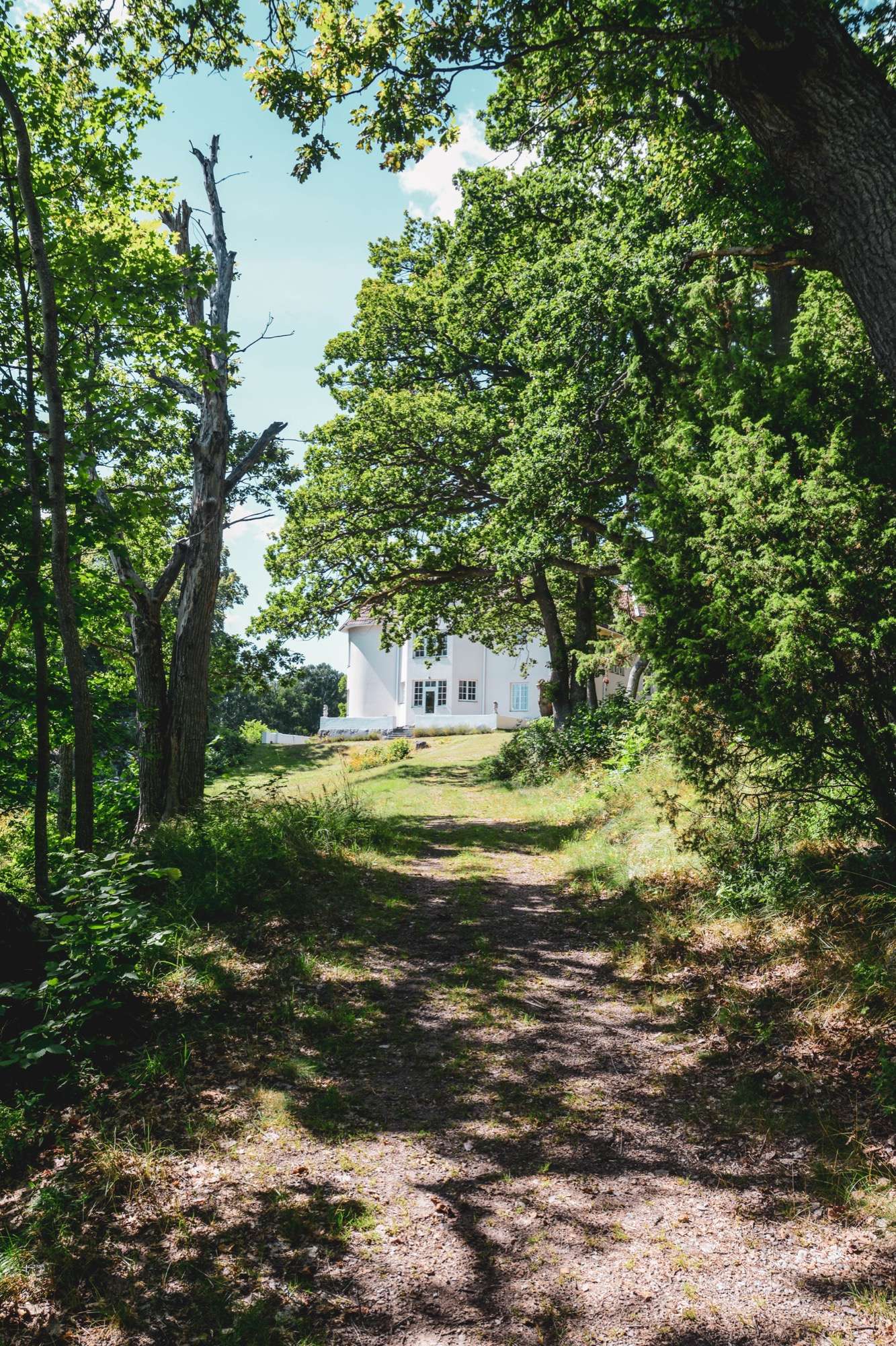 Grässtigen upp mot huset genom ekarna, med den vita fasaden och det runda hörntornet mellan trädkronorna.