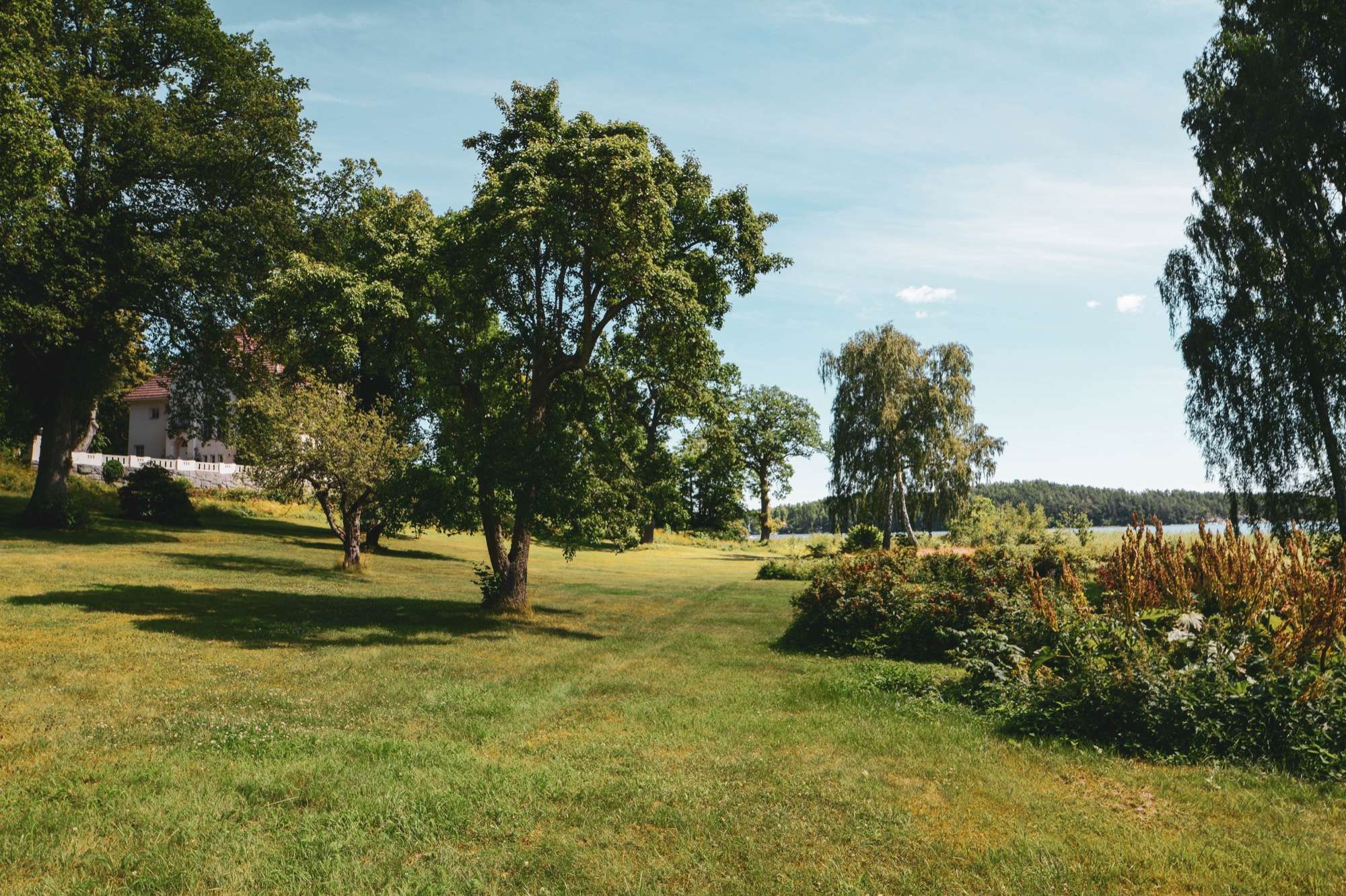 Klippt gräs mellan lövträden i parken, med buskage i kanten och sjön som skymtar bortom trädraden.