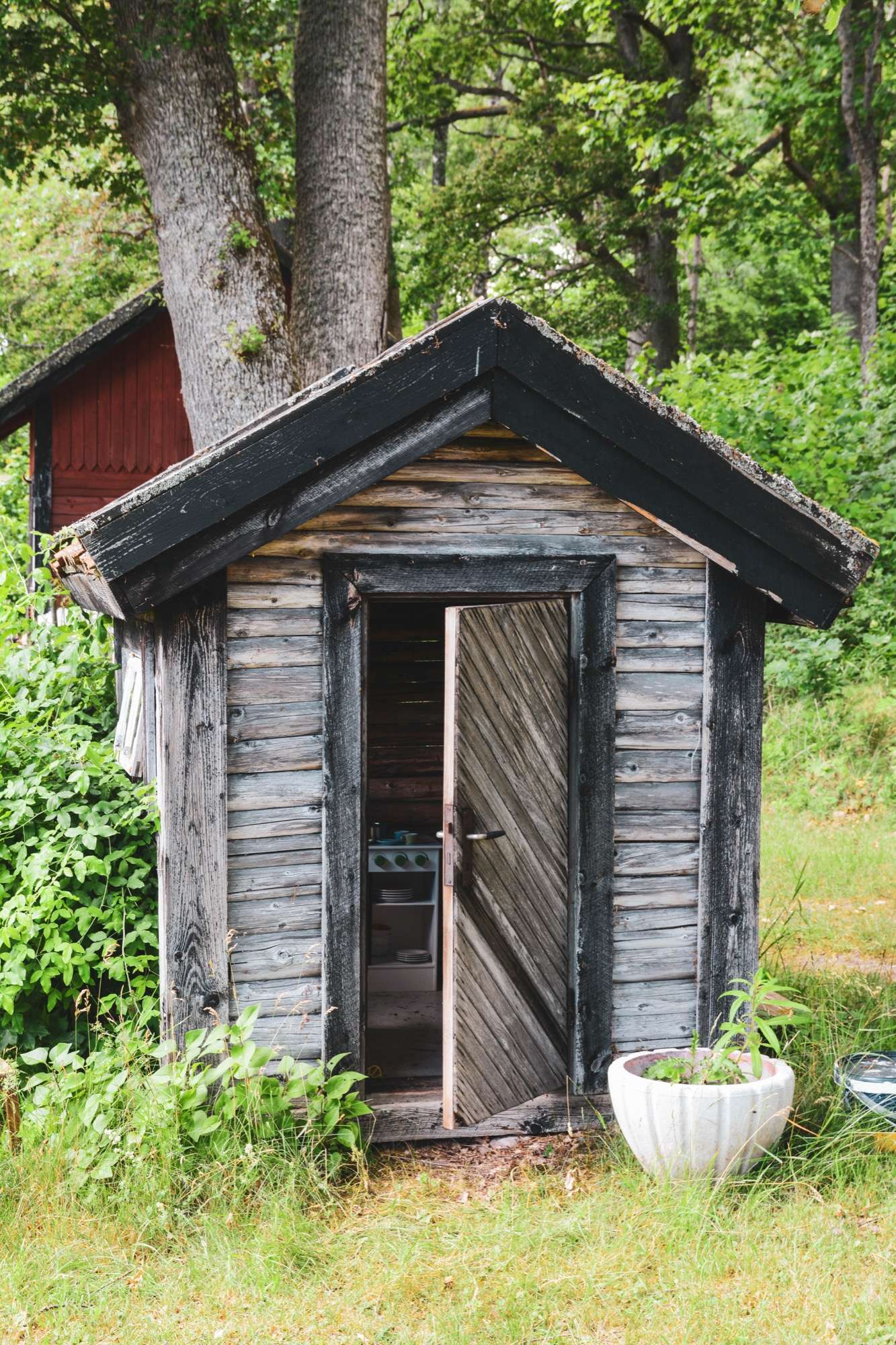 Litet grått timrat hus med svart tak och öppen dörr under en stor ek, med en blomkruka på gräset och en röd länga bakom.
